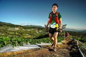 BIB: 9208, 
                            <button type="button" onclick="openModal(19122103)" class="btn btn-primary btn-sm float-right btn-popup" data-toggle="modal" data-target=".modal-high-quality">
                        <i class="fas fa-shopping-cart"></i> Add to Cart
                    </button>
                                            <button type="button" onclick="isThisMe(19122103, true)" class="btn btn-success btn-sm float-right btn-popup btn-isme hidden" data-toggle="tooltip" data-placement="bottom" title="นี่คือรูปของคุณใช่ไหม คลิกที่นี่เพื่อเอาเข้าอัลบั้ม">
                        <i class="fas fa-plus"></i> Add to album
                    </button>
                    <button type="button" onclick="isThisMe(19122103, false)" class="btn btn-warning btn-sm float-right btn-popup btn-isnotme hidden">
                        <i class="fas fa-ban"></i> Remove from album
                    </button>